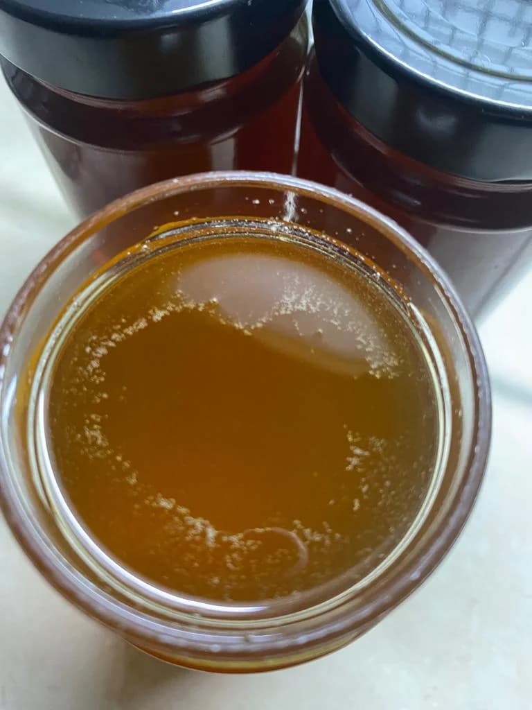 apiary photo