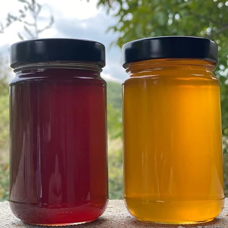 apiary photo