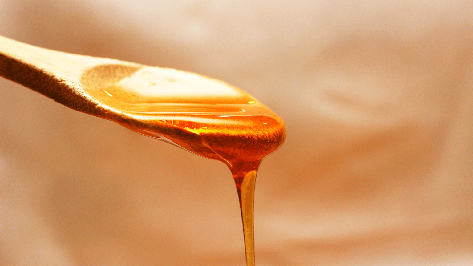 Meadow Honey – One of the Most Valued Types of Honey